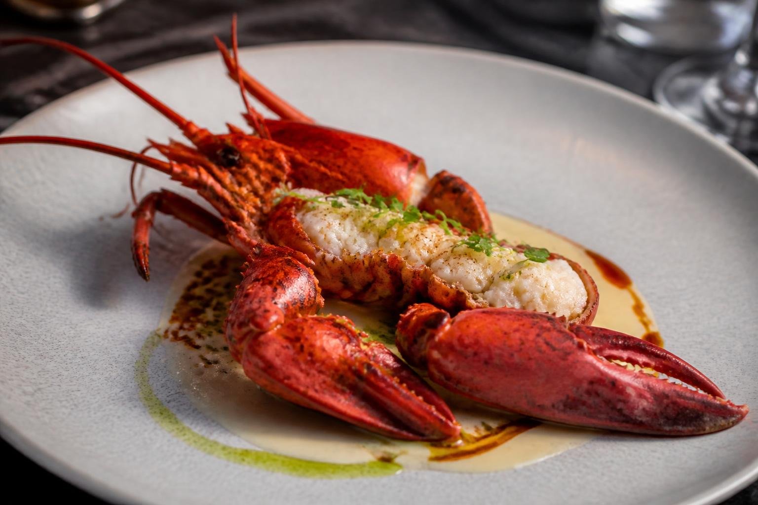 Homard breton présenté en assiette gastronomique